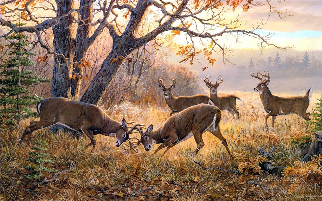 fighting whitetails Oil Paintings
